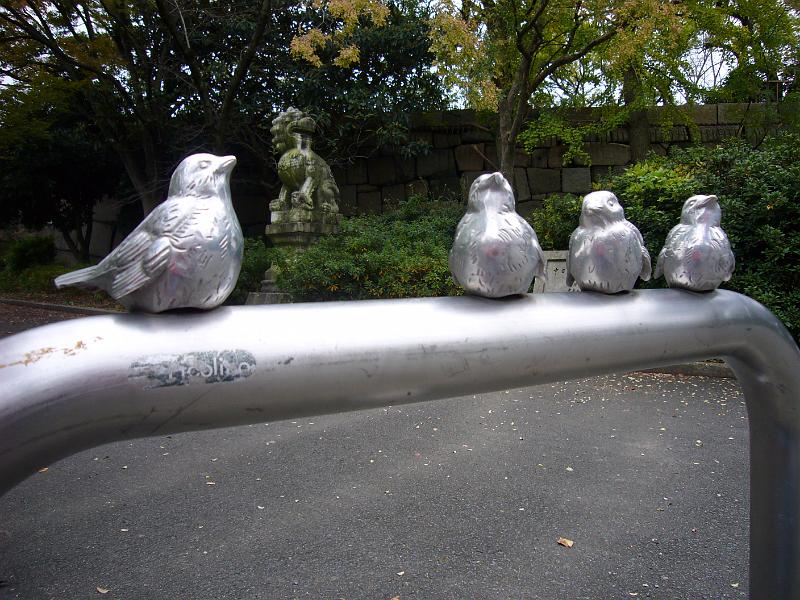 foto_20081109_1455_01.jpg - [de]Ganz harte Piepmätze.[en]These are some very solid birds.