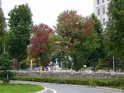 foto_20081109_1334_01