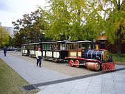 foto_20081109_1337_01