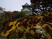 foto_20081109_1350_01