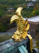 foto_20081109_1409_01