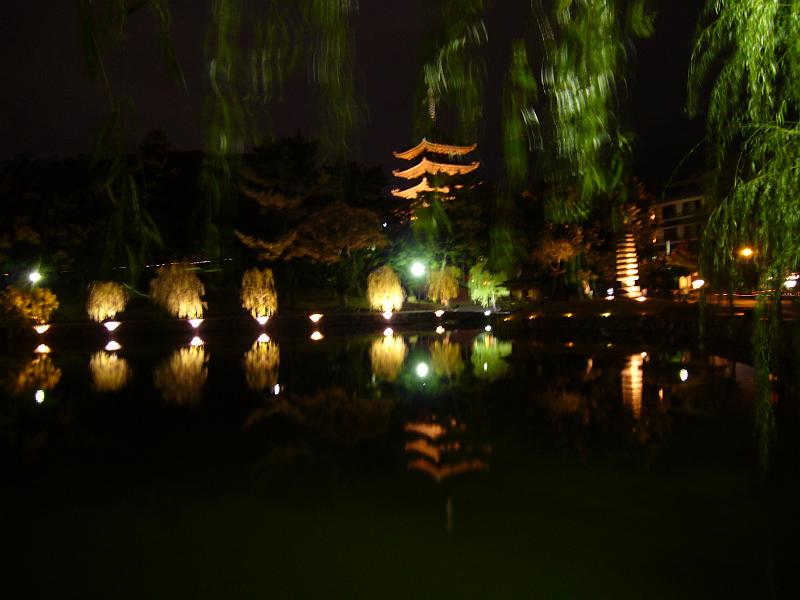 foto_20081110_1740_01.jpg - [de]Nächtlicher Blick auf die Pagode Kofuku-Ji.[en]Night view of the Kofuku-Ji pagoda.
