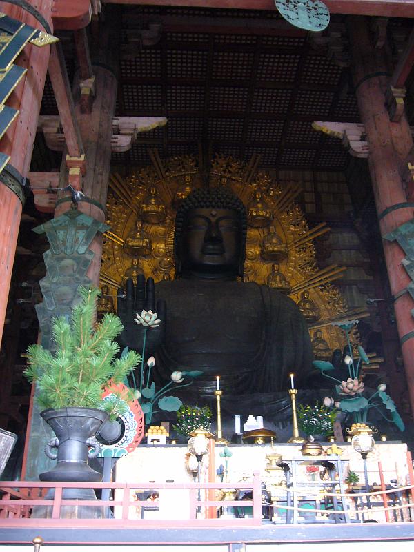 foto_20081111_1002_04.jpg - [de]Nämlich diesen hier, 470 Tonnen Bronze.[en]This is the big buddha made from 470 tons of bronze.