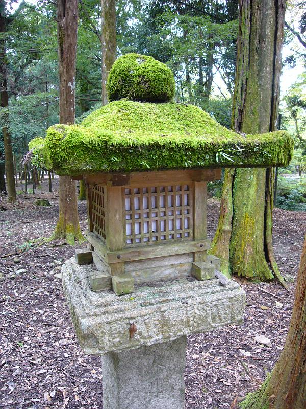 foto_20081111_1108_01.jpg - [de]Schön bemooste Steinlaterne.[en]This lantern must sit here for a while already, judging from the moss.