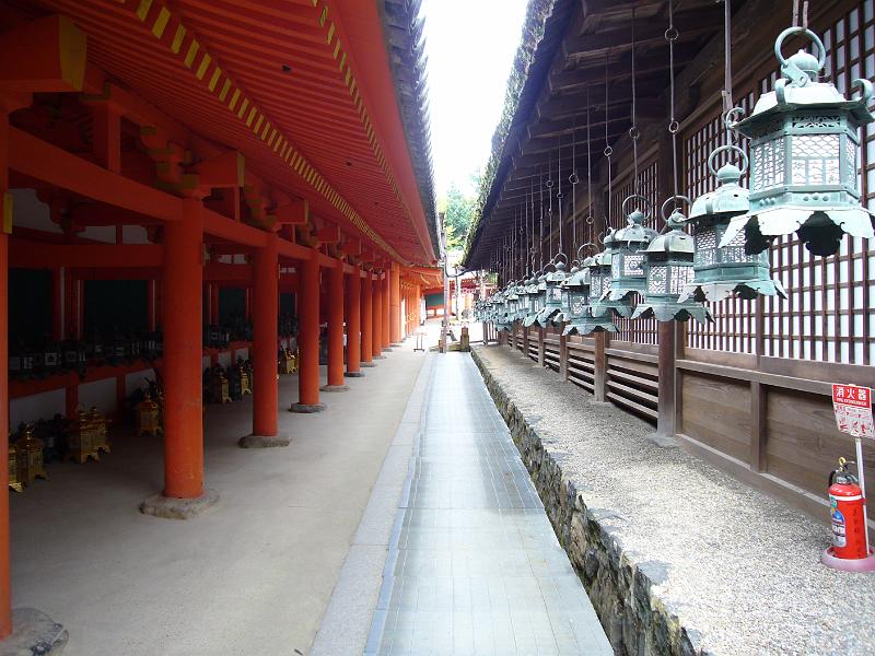 foto_20081111_1116_01.jpg - [de]Am Eingang des Kasuga Taisha Shrines.[en]Entrance section to the Kasuga Taisha shrine.