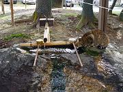 foto_20081111_0928_01