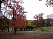 foto_20081111_0938_01