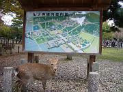 foto_20081111_0945_01