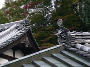 foto_20081111_1042_01