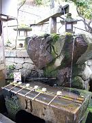 foto_20081111_1043_03