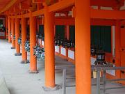 foto_20081111_1119_01