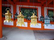 foto_20081111_1138_02