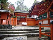 foto_20081111_1143_01