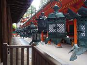 foto_20081111_1147_01