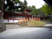 foto_20081111_1149_02