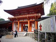 foto_20081111_1152_01