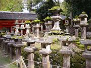 foto_20081111_1153_01