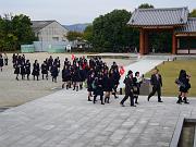 foto_20081111_1459_01