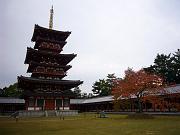 foto_20081111_1500_02