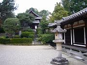 foto_20081111_1539_01