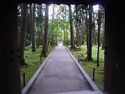 foto_20081111_1545_03