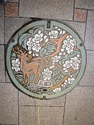 foto_20081112_0807_01