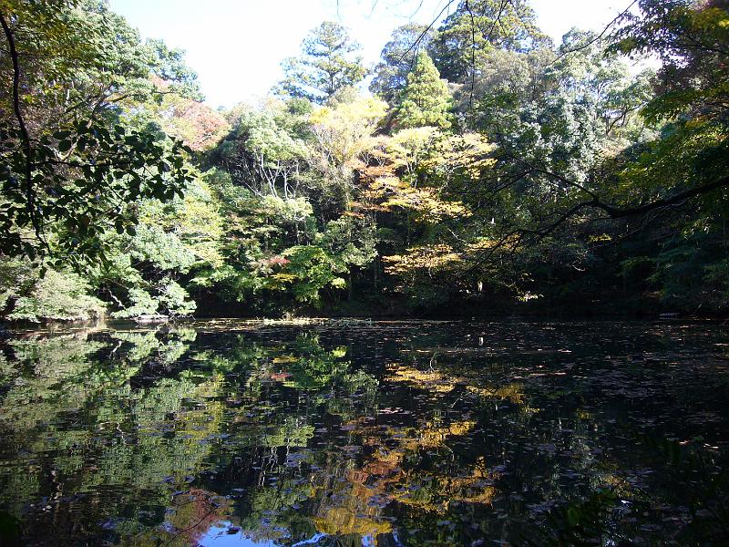 foto_20081112_1344_02.jpg - [de]Ein kleiner Teich mit spiegelnden Herbstfarben.[en]Small pond with reflections of the autumn leafs.
