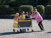 foto_20081112_1104_02