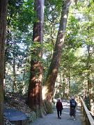 foto_20081112_1124_01