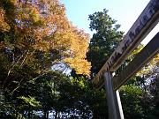 foto_20081112_1249_02