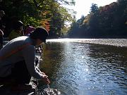 foto_20081112_1254_01