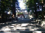 foto_20081112_1316_02