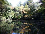 foto_20081112_1344_02