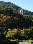 foto_20081112_1348_03