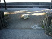 foto_20081112_1540_03