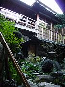 foto_20081112_1621_01