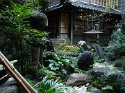 foto_20081112_1621_02