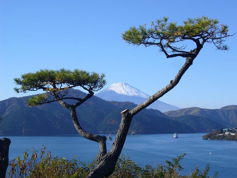 foto_20081114_1400_01.jpg - [de]Nochmal Mt. Fuji in die Mitte genommen.[en]Fuji-san centered.