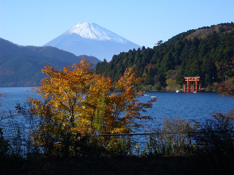 foto_20081114_1420_01.jpg - [de]Hakone Schrein und Mt. Fuji.[en]Hakone shrine with Fuji-san.