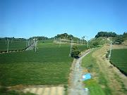 foto_20081113_1104_01