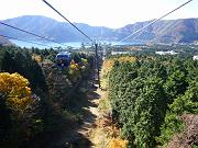 foto_20081114_1142_02