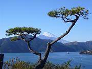 foto_20081114_1400_01