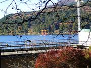 foto_20081114_1414_01