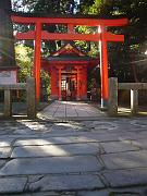 foto_20081114_1446_02