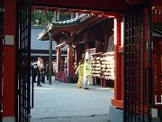 foto_20081114_1507_01