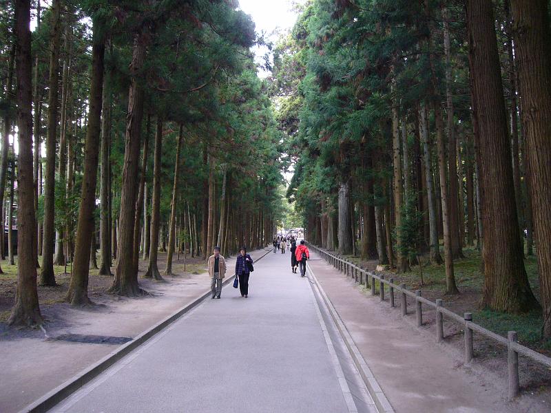 foto_20081115_1518_01.jpg - [de]Zugang zum Zuiganji Tempel durch eine schöne Allee.[en]Access to the Zuiganji temple through a nice alley.