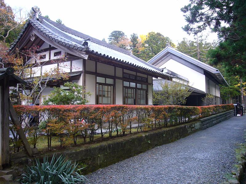 foto_20081115_1540_01.jpg - [de]Die herbstliche Buschreihe ist auch sehr schön.[en]A row of bushes with autumn leafs.