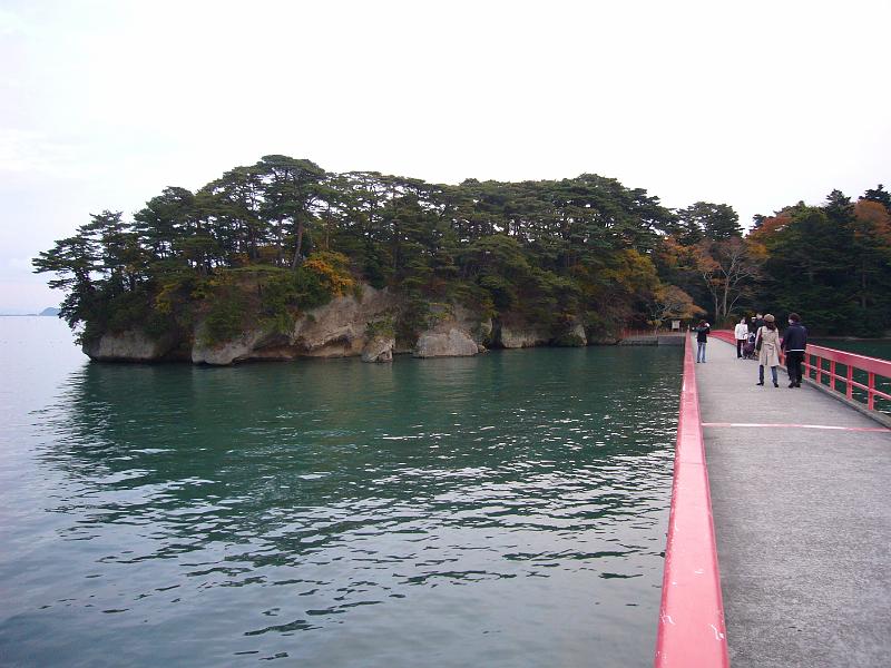 foto_20081115_1604_01.jpg - [de]Die Pinien haben fast die gesamte Felseninsel eingenommen.[en]The pine trees are dominant on that island.