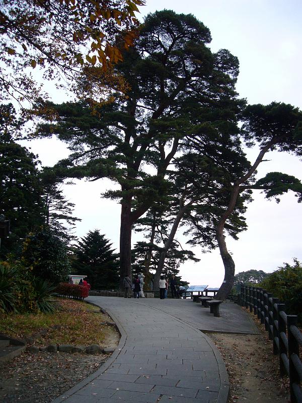 foto_20081115_1614_02.jpg - [de]Wir erreichen einen weiteren Aussichtspunkt.[en]Reaching another view point.