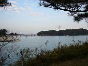 foto_20081115_1509_02